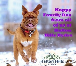 Dog running, Happy Family day from all of us at Halton Hills Hydro