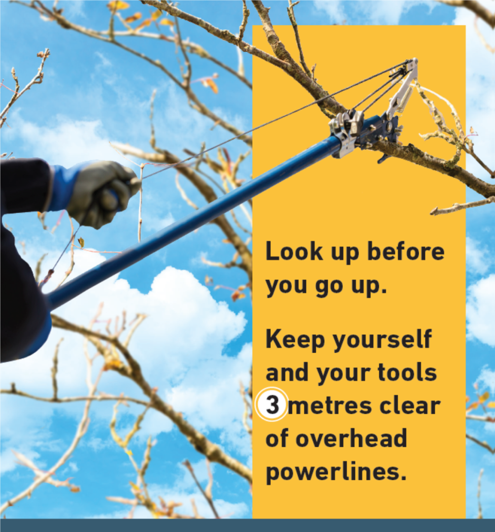 Tree Trimming & Planting Halton Hills Hydro